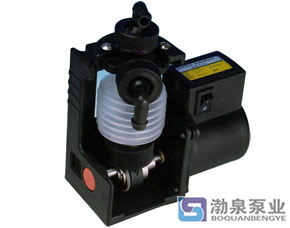 DZ、DS新型波紋管藥液計量泵