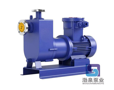 ZCQ40-32-160_化工自吸磁力驅(qū)動(dòng)泵