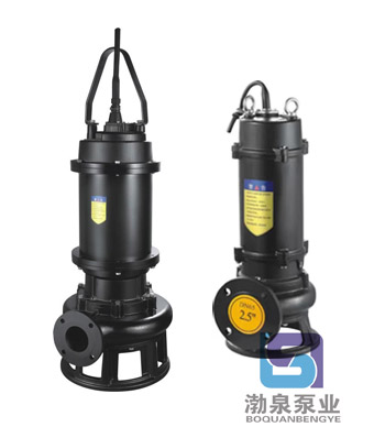 150WQ200-30-37_國標(biāo)法蘭污水泵