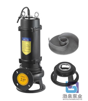 100WQ50-10-3QG|帶切割裝置潛水排污泵